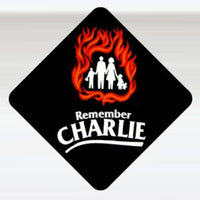 Hard Hat Decal (Pack of 100)