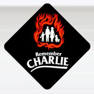 Hard Hat Decal (Pack of 100)